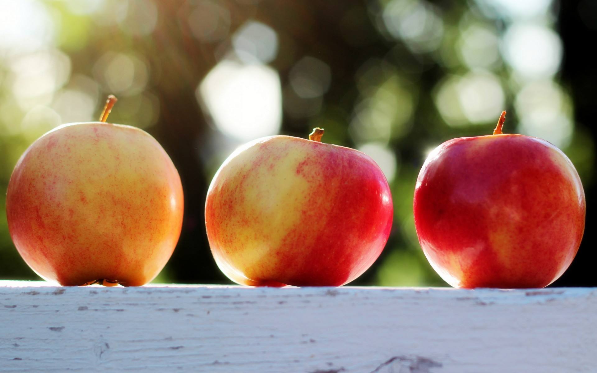 【全丰生物】植物生长调节剂在果树上的应用——苹果（一）