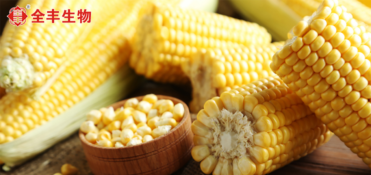 【全丰生物】玉米种植技术及管理