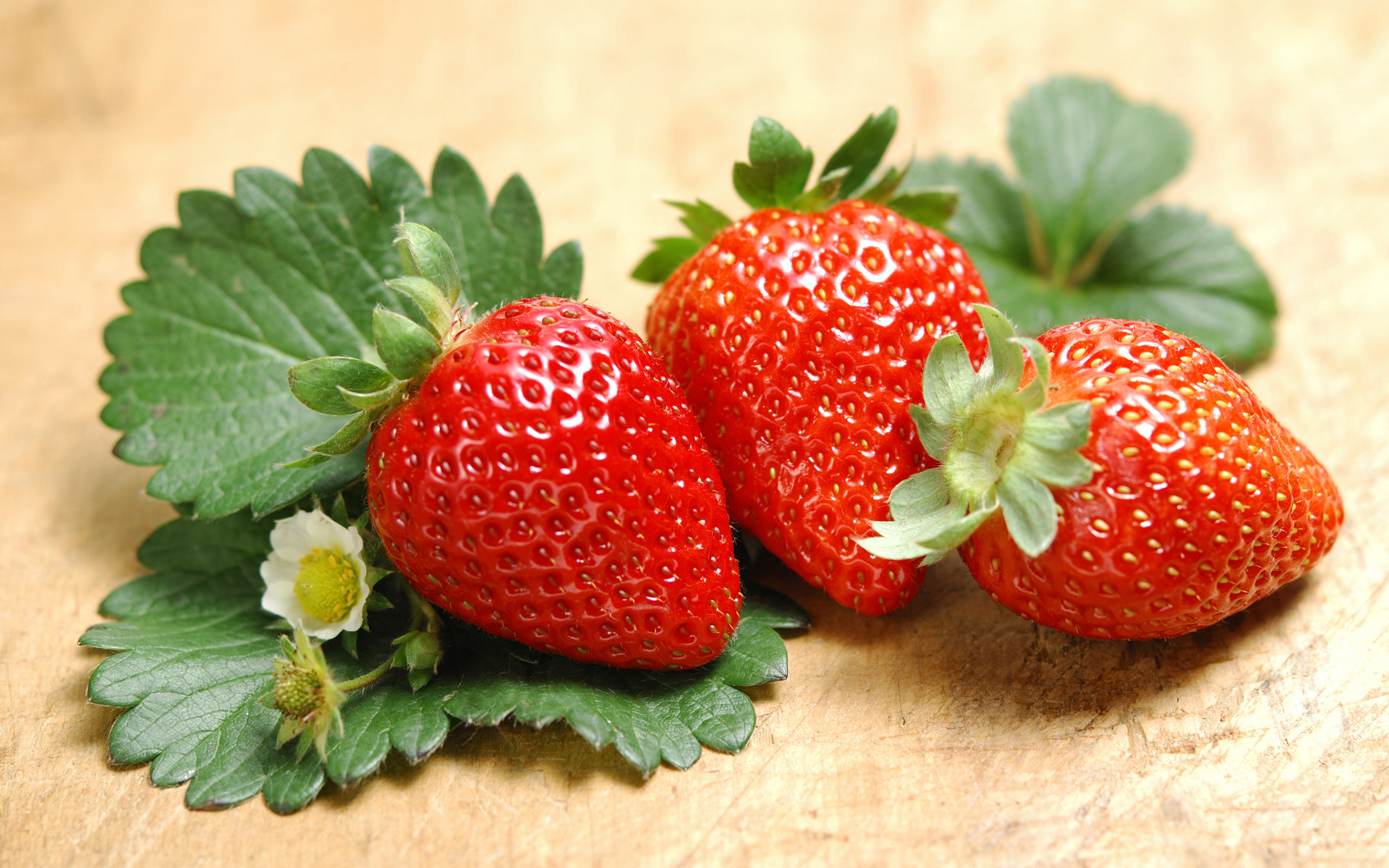 【全丰生物】植物生长调节剂在果树上的应用——草莓（一）