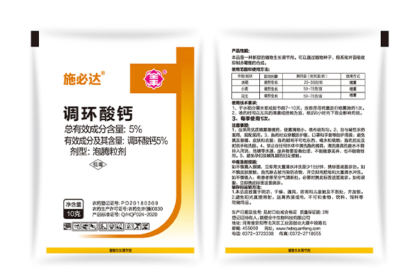施必达