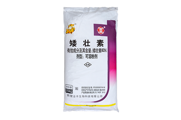 80% chloramphenicol soluble powder